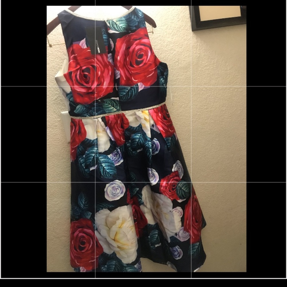 Fashion Nova Dress